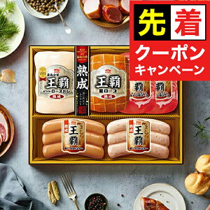 y̏I撅N[|zΕ 2025 n Mtg Zbg [Xn  ۑHi {MO-505 eZbg}wMRDx ~Mtg N N v[g 蕨 HiMtg Ε