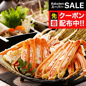 yX[p[SALE撅N[|z Mtg I Jj {C킢ɋr Ⓚ 3440530wSKTx lߍ킹 񂹃O Zbg a j j 蕨 