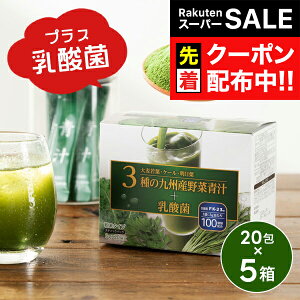 yX[p[SALE撅N[|z` _ ^Cv  3̋BYؐ`{_ 3g×20×5/v100(005)