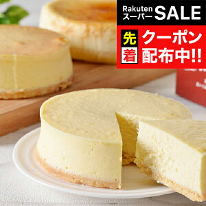 yX[p[SALE撅N[|z Mtg XC[c P[L Zbg lߍ킹 kC `[YP[LZbg Ⓚ 5000140wSKTx 񂹃O a j j 蕨 