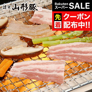 yX[p[SALE撅N[|z Mtg Zbg lߍ킹 R` R`HДF R` oē 1kg Ⓚ 7240157wSKTx 񂹃O a j j 蕨 