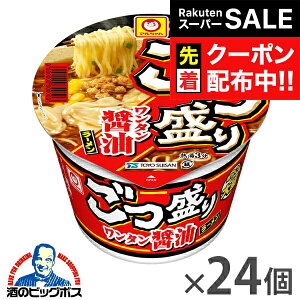 yX[p[SALE撅N[|z24  傤 Jbv [  mY }  ^ݖ[ 117g×2P[X/24s024twGCCx