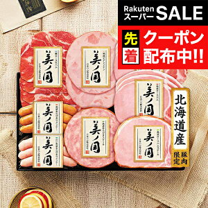 yX[p[SALE撅N[|zΕ 2025 n Mtg Zbg [Xn  {n {UKH-48 m}wNHHx {nMtg ~Mtg N N v[g 蕨 HiMtg 