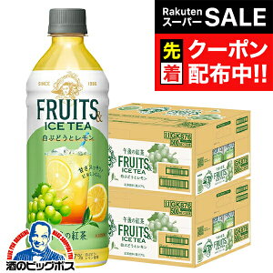 yX[p[SALE撅N[|zߌ̍g  L ߌ̍g t[cACXeB[ Ԃǂƃ 500ml×2P[X/48{s048twGCCx