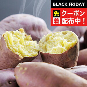 ubNtCf[撅N[|I Mtg Ă  C F{ pug͂邩vⓀ 3170010 wSKTx lߍ킹 񂹃O Zbg a j j 蕨 