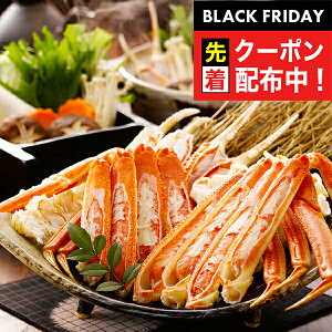 ubNtCf[撅N[|I Mtg I Jj {C킢ɋr Ⓚ 3440531wSKTx lߍ킹 񂹃O Zbg a j j 蕨 