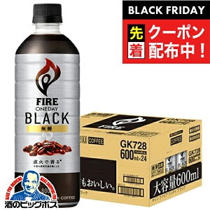 ubNtCf[撅N[|Iy R[q[zyzL t@CA fC ubN 1P[X/600ml×24{s024twIASx