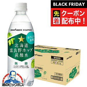 ubNtCf[撅N[|IY_  ybg{g y{B̂ z|bJTb| kCxǖzbv Y_ 500ml×1P[X/24{s024twPOKx