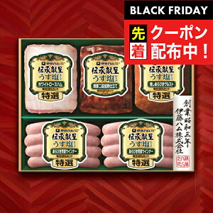 ubNtCf[撅N[|IΕ 2025 n Mtg Zbg [Xn  ɓn {GMU-43 `}wITHx ~Mtg N N v[g 蕨 HiMtg Ε