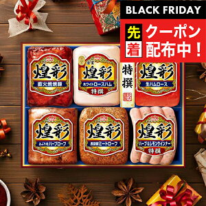 ubNtCf[撅N[|IΕ 2025 n Mtg Zbg [Xn  ۑHi {MV-556 ʃZbg}wMRDx ~Mtg N N v[g 蕨 HiMtg Ε