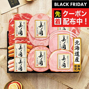 ubNtCf[撅N[|IΕ 2025 n Mtg Zbg [Xn  {n {UKH-48 m}wNHHx {nMtg ~Mtg N N v[g 蕨 HiMtg