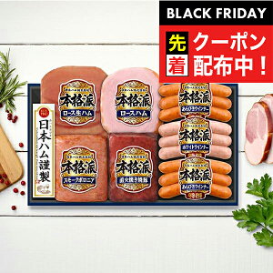 ubNtCf[撅N[|IΕ 2025 n Mtg Zbg [Xn  {n {NH-427 {ihZbg}wNHHx{nMtg ~Mtg N N v[g 蕨 Hi