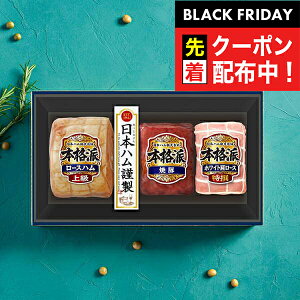 ubNtCf[撅N[|IΕ 2025 n Mtg Zbg [Xn  {n {NH-513 {ihZbg}wNHHx{nMtg ~Mtg N N v[g 蕨 Hi