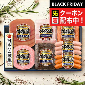 ubNtCf[撅N[|IΕ 2025 n Mtg Zbg [Xn  {n {NH-519 {ihZbg}wNHHx{nMtg ~Mtg N N v[g 蕨 Hi