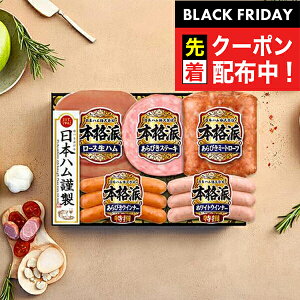 ubNtCf[撅N[|IΕ 2025 n Mtg Zbg [Xn  {n {NH-32 {ih}wNHHx {nMtg ~Mtg N N v[g 蕨 HiMtg 