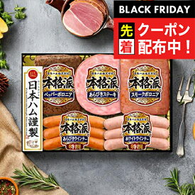 ブラックフライデー先着クーポン！【予約】【2025年11月20日以降発送】お歳暮 2025 ハム ギフト セット ロースハム 送料無料 日本ハム {NH-342 本格派}『NHH』 日本ハムギフト 冬ギフト お年賀 御年賀 プレゼント 贈り物 食品ギフト 御歳暮