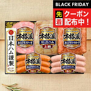 ubNtCf[撅N[|IΕ 2025 n Mtg Zbg [Xn  {n {NH-501 {ih}wNHHx {nMtg ~Mtg N N v[g 蕨 HiMtg