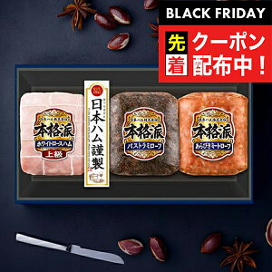 ubNtCf[撅N[|IΕ 2025 n Mtg Zbg [Xn  {n {NH-337 {ih}wNHHx {nMtg ~Mtg N N v[g 蕨 HiMtg