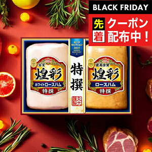 ubNtCf[撅N[|IΕ 2025 n Mtg Zbg [Xn  ۑHi {MSR-40 ʃZbg}wMRDx ~Mtg N N v[g 蕨 HiMtg Ε