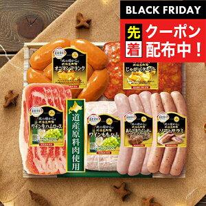 ubNtCf[撅N[|IΕ 2025 n Mtg Zbg  ۑHi {HDS-30 kCZbg}wMRDx ~Mtg N N v[g 蕨 HiMtg Ε