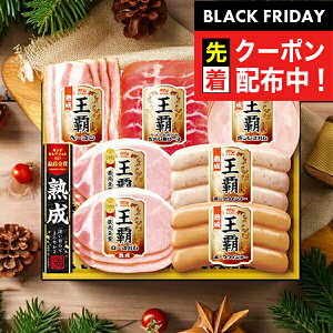 ubNtCf[撅N[|IΕ 2025 n Mtg Zbg [Xn  ۑHi {MO-300 eZbg}wMRDx ~Mtg N N v[g 蕨 HiMtg Ε