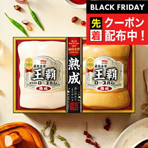 ubNtCf[撅N[|IΕ 2025 n Mtg Zbg [Xn  ۑHi {MO-502 eZbg}wMRDx ~Mtg N N v[g 蕨 HiMtg Ε