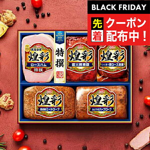 ubNtCf[撅N[|IΕ 2025 n Mtg Zbg [Xn  ۑHi {MV-480 ʃZbg}wMRDx ~Mtg N N v[g 蕨 HiMtg Ε