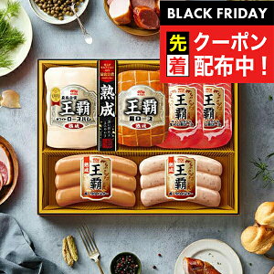 ubNtCf[撅N[|IΕ 2025 n Mtg Zbg [Xn  ۑHi {MO-505 eZbg}wMRDx ~Mtg N N v[g 蕨 HiMtg Ε