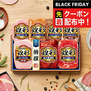 ubNtCf[撅N[|IΕ 2025 n Mtg Zbg [Xn  ۑHi {MV-537 ʃZbg}wMRDx ~Mtg N N v[g 蕨 HiMtg Ε