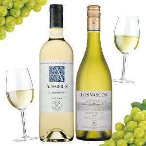 v[g 2025 y{B̂ zC Mtg ݔ Zbg tXE` C 2Zbg I[VG[/X@XRX lߍ킹 j a 蕨 v[g Mtg