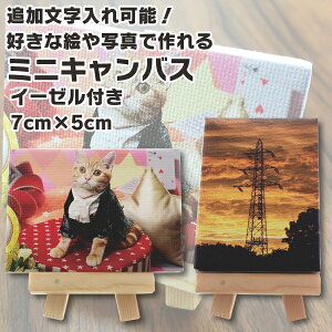 DȎʐ^Gō   OK vg~jLoX C[[t 5×7cm ʐ^v[g O Mtg j  a v[g j җj Ê j 