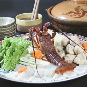  Mtg @ጎv͂ƈɐт̓ Ⓚ 2940116wSKTx lߍ킹 񂹃O Zbg a j j 蕨 