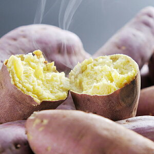  Mtg Ă  C F{ pug͂邩vⓀ 3170010 wSKTx lߍ킹 񂹃O Zbg a j j 蕨 