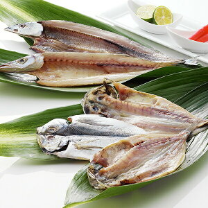  Mtg  É ÁuavY Ⓚ 3440246wSKTx lߍ킹 񂹃O Zbg a j j 蕨 3000~ 