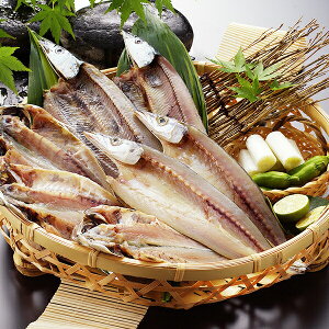  Mtg  É ÁuavY Ⓚ 3440247wSKTx lߍ킹 񂹃O Zbg a j j 蕨 