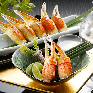  Mtg I  {C킢ɒ Ⓚ 3440440wSKTx lߍ킹 񂹃O Zbg a j j 蕨 