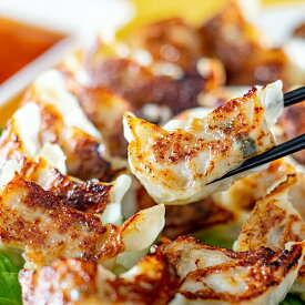 送料無料 ギフト 高級 餃子 ぎょうざ ギョウザ 神奈川「横浜ロイヤルパークホテル」監修ひとくち黒豚餃子 冷凍便 3530164『SKT』人気 詰め合わせ セット 誕生日 内祝い ギフト 贈り物 3000円台 お年賀