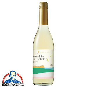 �X�p�[�N�����O���C�� �����C�� ���{���C�� wine �T�b�|�� �O�����|���[�� �]�s�Ԃǂ��̃X�p�[�N�����O 600ml×1�{�wFSH�x