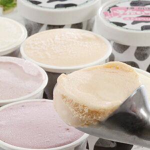  Mtg ACX XC[c kC \qACX Ⓚ 5000084wSKTx lߍ킹 񂹃O Zbg a j j 3000~  蕨 3000~ 