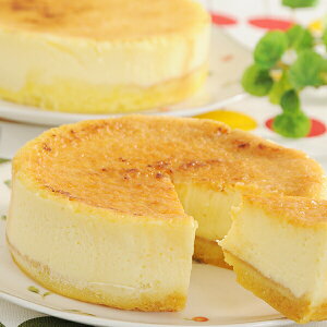  Mtg XC[c Zbg lߍ킹 kC \t}[Wu Ⓚ 5000121wSKTx 񂹃O a j j 蕨 