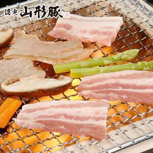  Mtg Zbg lߍ킹 R` R`HДF R` oē 1kg Ⓚ 7240157wSKTx 񂹃O a j j 蕨 