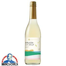 スパークリングワイン 白ワイン 日本ワイン wine サッポロ グランポレール 余市ぶどうのスパークリング 600ml×1本『FSH』【倉庫A】