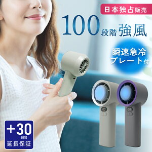 30ۏؕt nfBt@ pv[g 100iK  ₽ p É y`FN[[ 7 X}zX^h  lbNXgbv  ^ 莝@ [d MǑ΍