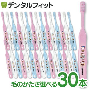 Ci 502 Mӂ or 503 S炩 Xk[s[ 3FA\[g 30{yCifBJ uVzi[2_܂Łjy[֑Iőz