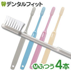 Ci 202 v~A / Mӂ 4{yCifBJ uVz