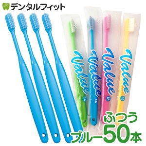 Ci o[ uV Mӂ u[ 50{yCifBJ uVz