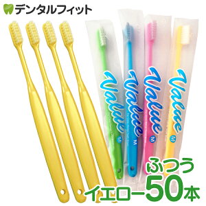 Ci o[ uV Mӂ CG[ 50{yCifBJ uVz