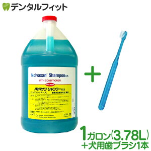 yLJmszmoTVv[0.5(RfBVi[) 1K(3.78L) 1{ + CiV 1{̂܂tI