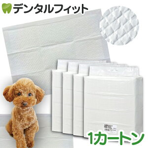 y|Cg5{ 11/1 0:00-23:59zCiƖpybgV[c X^ 1J[g(4pbN) M[(1200) Ch(600) X[p[Ch(300) yz