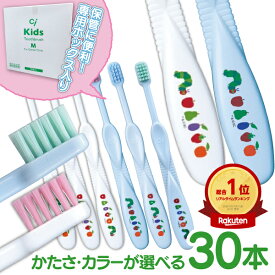 歯ブラシ 子供 Ciキッズ エリックカール はらぺこあおむし柄 ホワイト/ブルー 30本入 日本製【Ciメディカル】【送料無料】